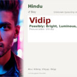 Vidip Name Meaning and Details