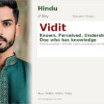 Vidit Name Meaning and Details