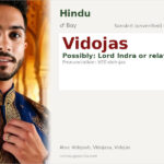 Vidojas Name Meaning and Details
