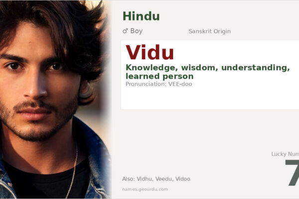 Vidu Name Meaning — Sanskrit Origin, Boy Name & Details (2025)