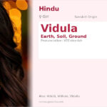 Vidula Name Meaning and Details