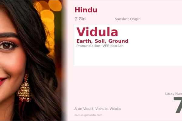 Vidula Name Meaning — Sanskrit Origin, Girl Name & Details (2025)