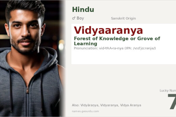 Vidyaaranya Meaning — Sanskrit Origin, Boy Name & History (2025)