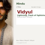Vidyul Name Meaning and Details