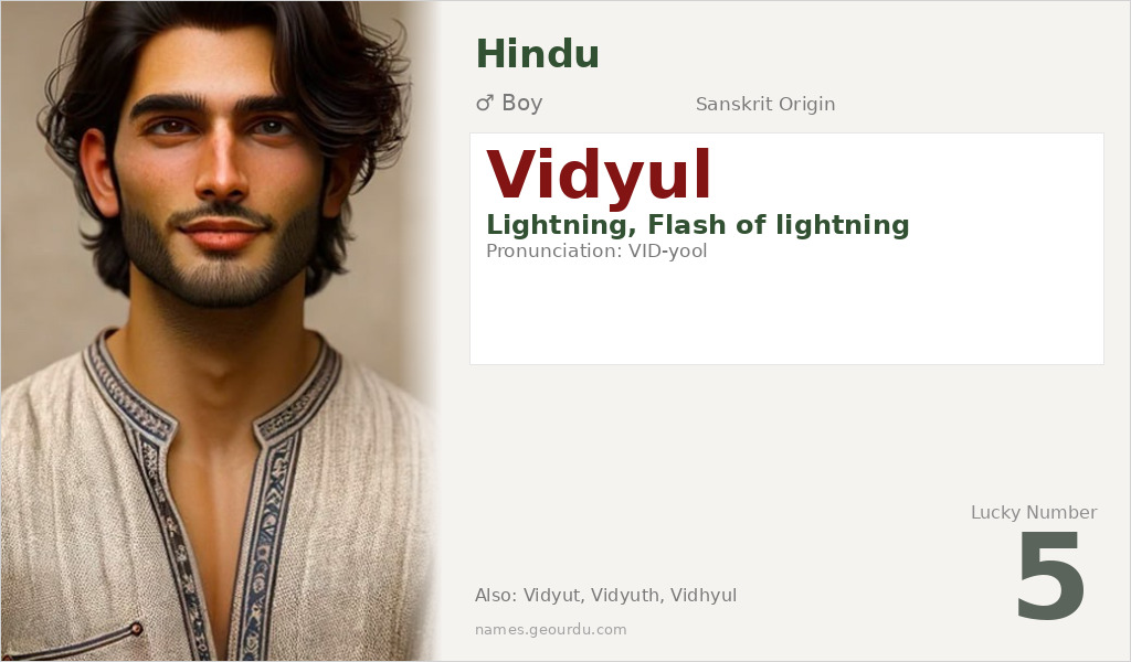 Vidyul Name Meaning and Details