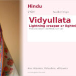 Vidyullata Name Meaning and Details