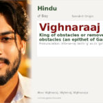 Vighnaraaj Name Meaning and Details