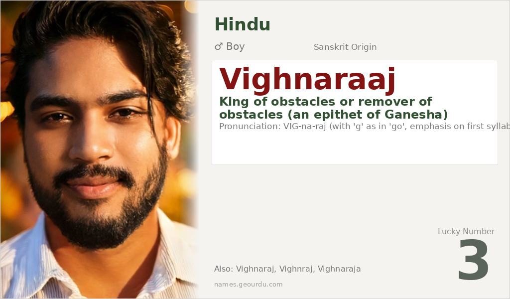 Vighnaraaj Name Meaning and Details