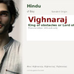 Vighnaraj Name Meaning and Details