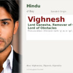Vighnesh Name Meaning and Details