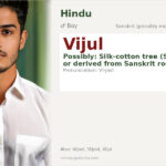 Vijul Name Meaning and Details