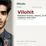 Vilohit Name Meaning and Details