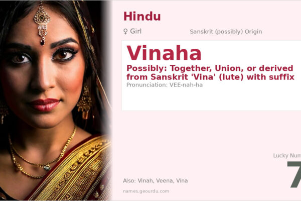 Vinaha Name Meaning — Origin, Gender & Details (2025)