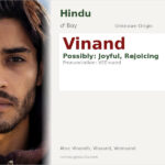 Vinand Name Meaning and Details