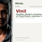 Vinil Name Meaning and Details