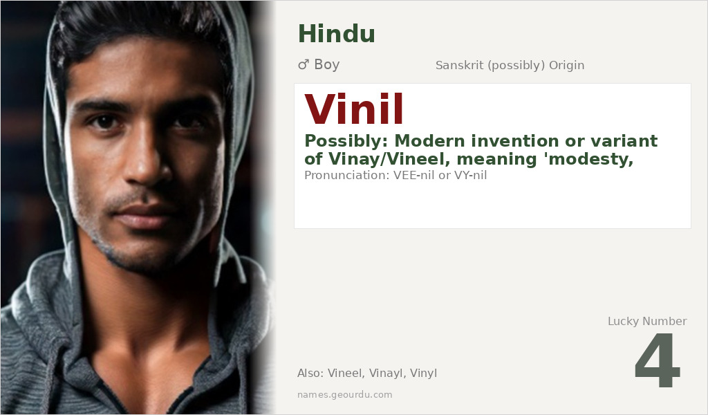 Vinil Name Meaning and Details