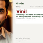 Vinil Name Meaning and Details