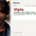 Vipla Name Meaning and Details