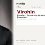 Virohin Name Meaning and Details
