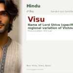 Visu Name Meaning and Details