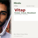 Vitap Name Meaning and Details
