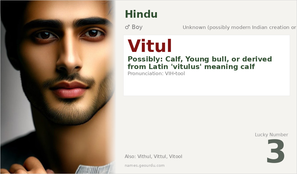 Vitul Name Meaning and Details