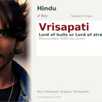 Vrisapati Name Meaning and Details