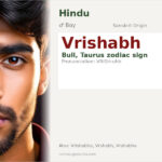 Vrishabh Name Meaning and Details