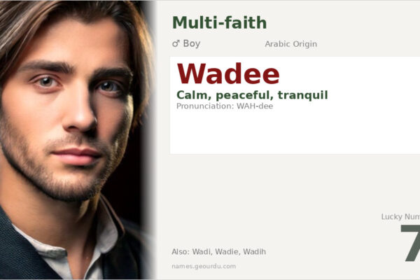 Wadee Name Meaning — Arabic Origin, Boy Name & Details (2025)