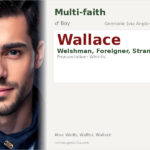 Wallace Name Meaning and Details