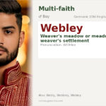 Webley Name Meaning and Details