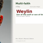 Weylin Name Meaning and Details