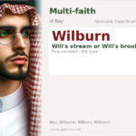 Wilburn Name Meaning and Details