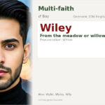 Wiley Name Meaning and Details