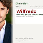Wilfredo Name Meaning and Details