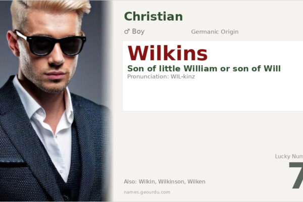 Wilkins Name Meaning — Origin, Gender & Details (2025)