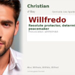 Willfredo Name Meaning and Details