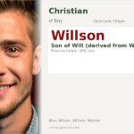 Willson Name Meaning and Details