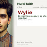 Wylie Name Meaning and Details