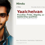 Yaalchelvan Name Meaning and Details