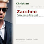 Zaccheo Name Meaning and Details