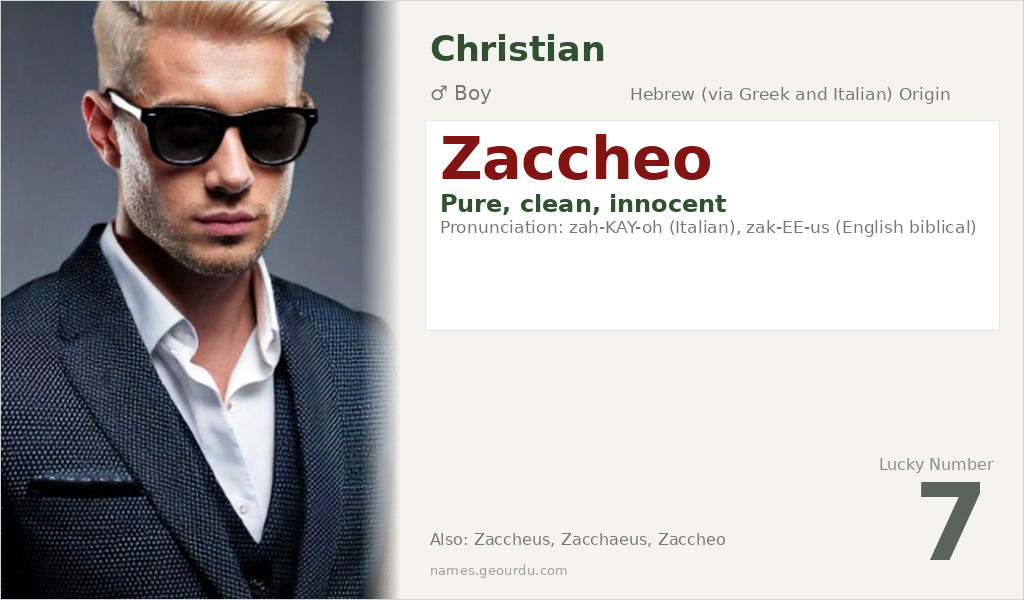 Zaccheo Name Meaning and Details