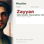 Zayyan Name Meaning and Details