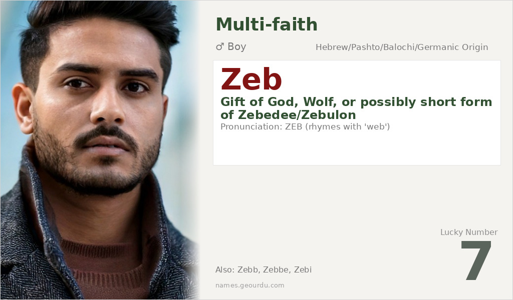 Zeb Name Meaning and Details