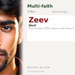 Zeev Name Meaning and Details