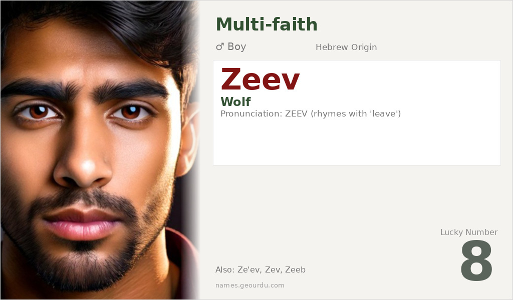 Zeev Name Meaning and Details
