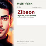 Zibeon Name Meaning and Details