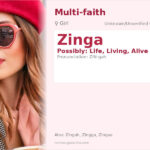 Zinga Name Meaning and Details