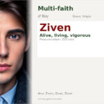 Ziven Name Meaning and Details