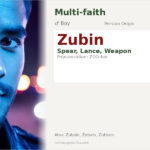 Zubin Name Meaning and Details